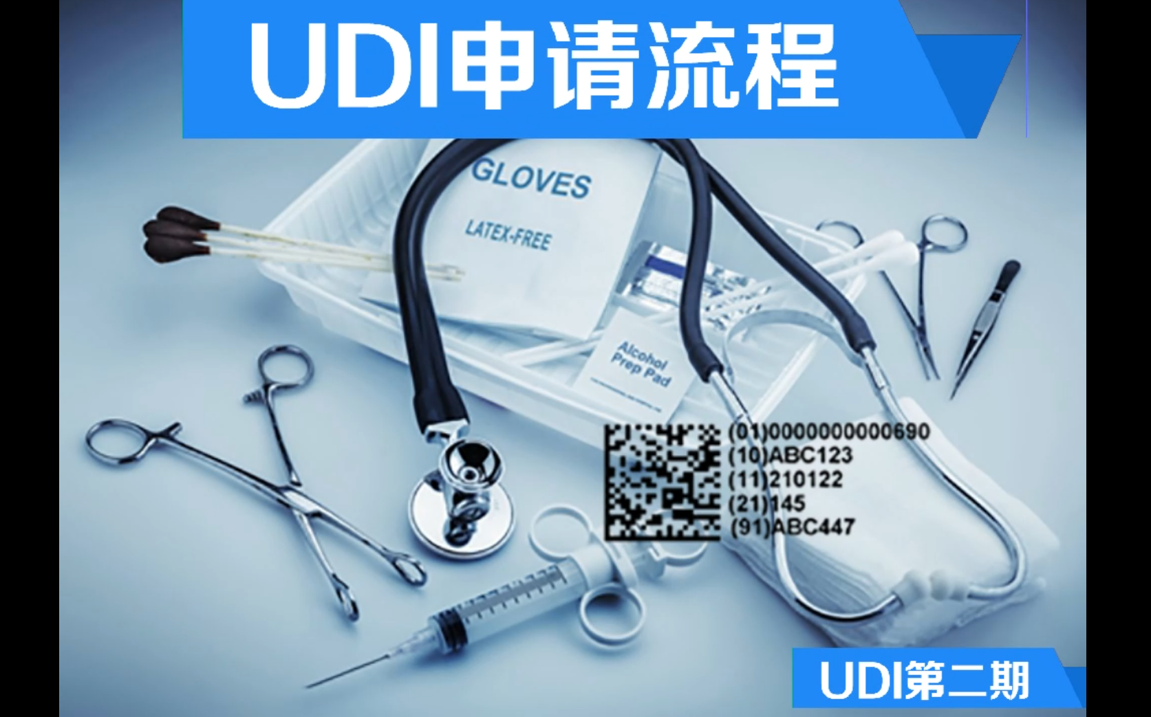 UDⅠ第二期：UDI申請(qǐng)流程